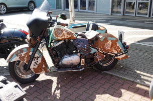 Biker 24 (6)